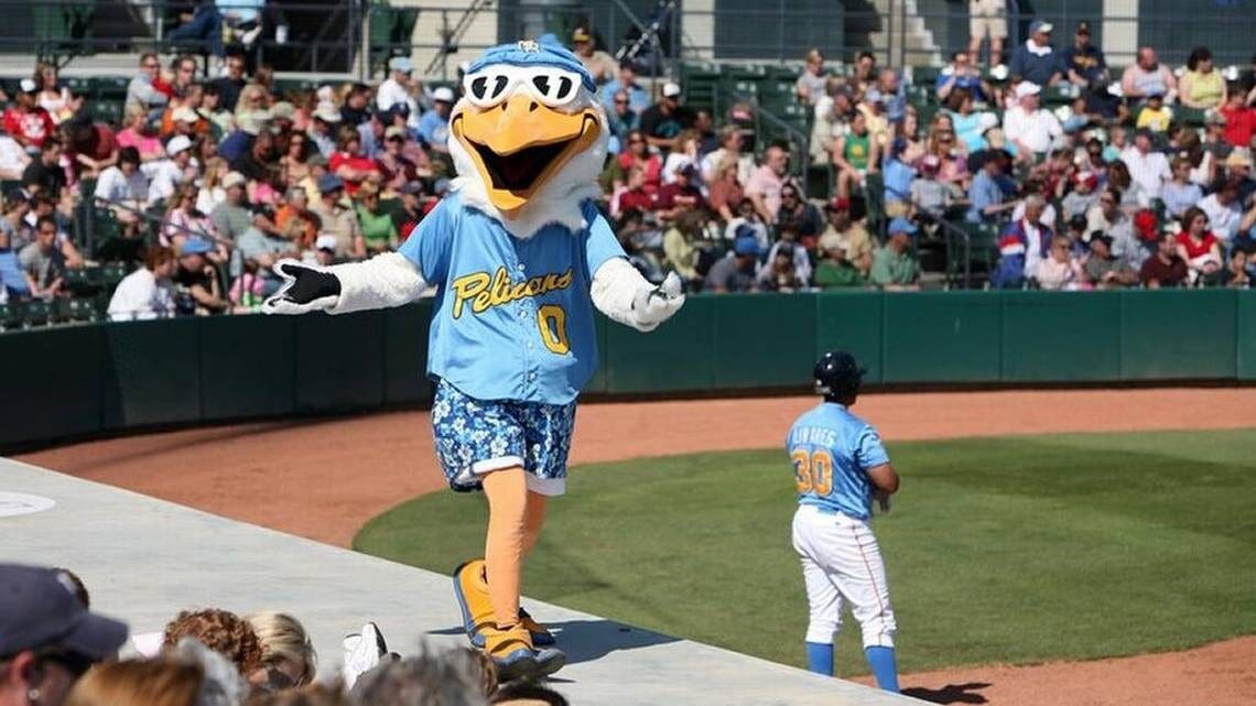 A person in a mascot costume is walking on the field.