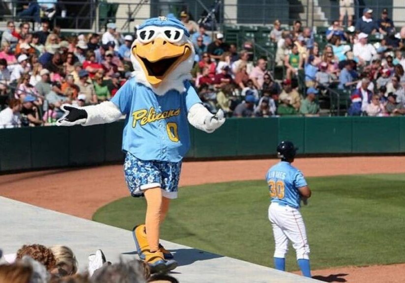 A person in a mascot costume is walking on the field.